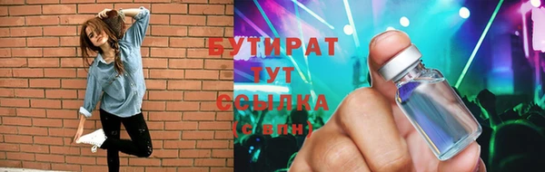 PSILOCYBIN Алзамай