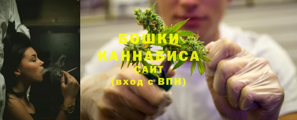 PSILOCYBIN Алзамай
