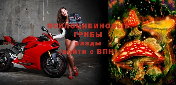 спиды Алексеевка