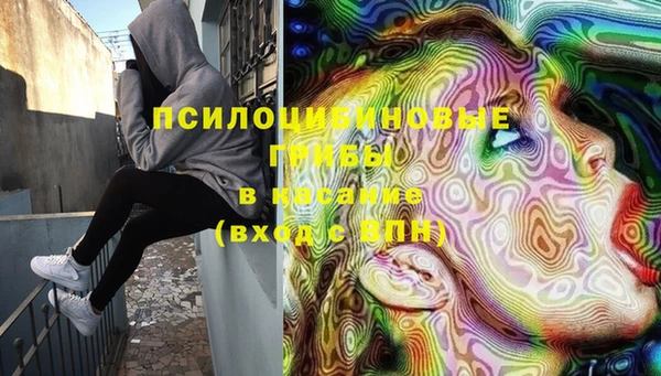 мет Кирсанов