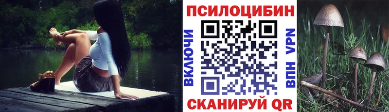 Галлюциногенные грибы Psilocybine cubensis  Александровское 